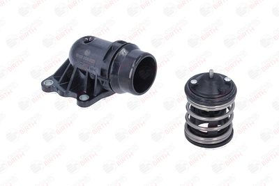 FLANSA LICHID RACIRE BIRTH 81102 2