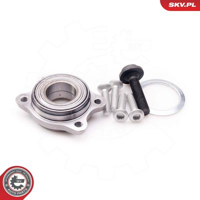 SET RULMENT ROATA ESEN SKV 29SKV029 3