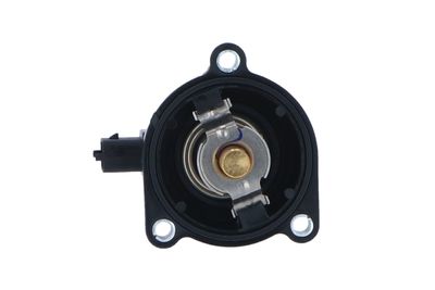TERMOSTAT LICHID RACIRE NRF 725024 46