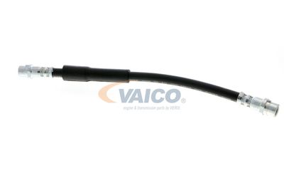 FURTUN FRANA VAICO V104119 13