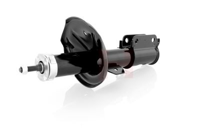 AMORTIZOR GH GH325058H 10