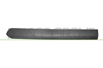 ELEMENTE DECORATIVE/PROTECTIE PORTIERA PRASCO FT9101454