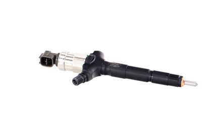 INJECTOR REMANTE 002003001953R 43