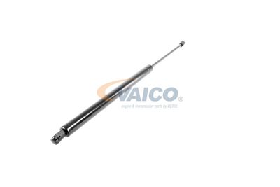 GASFEDER KOFFER-/LADERAUM VAICO V103072 53