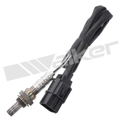 Лямбда-зонд WALKER PRODUCTS 250-24286 для NISSAN MAXIMA
