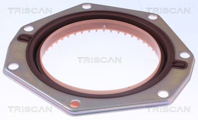 SIMERING ARBORE COTIT TRISCAN 855010097 1