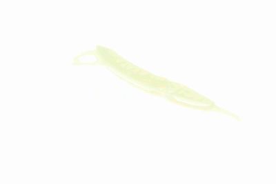 GHIDAJE LANT DISTRIBUTIE VAICO V203135 6