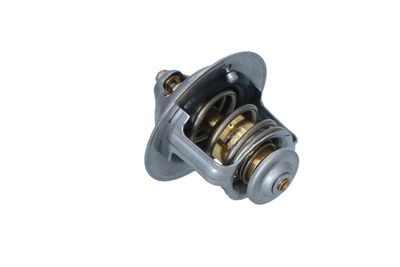 TERMOSTAT LICHID RACIRE NRF 725233 18
