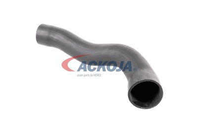 FURTUN EAR SUPRAALIMENTARE ACKOJA A379600 17