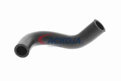 FURTUN RADIATOR ACKOJA A529604 1