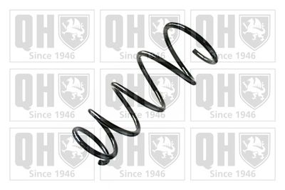 QUINTON HAZELL QCS8787 Пружина подвески  для FIAT (Фиат)
