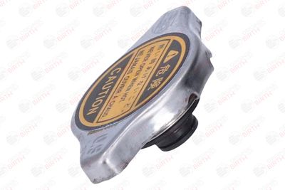 BUSON RADIATOR BIRTH 8069 5