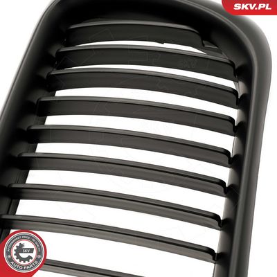 GRILA RADIATOR ESEN SKV 66SKV051 6