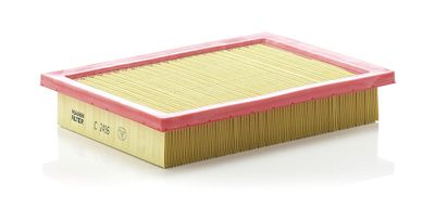 Air Filter C 2496