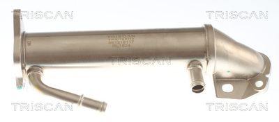 RADIATOR RECIRCULARE GAZE DE ESAPAMENT