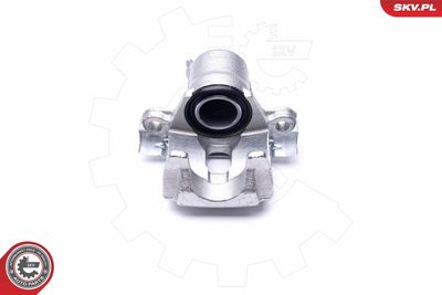 Brake Caliper 46SKV724