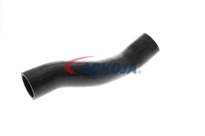 FURTUN EAR SUPRAALIMENTARE ACKOJA A389605 54