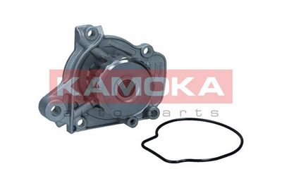 Water Pump, engine cooling T0149