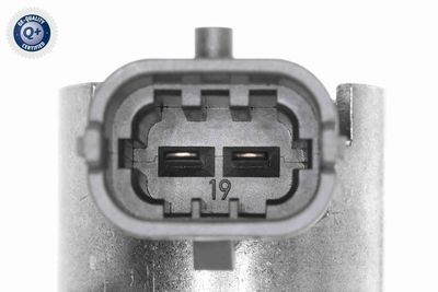 POMPA DE INALTA PRESIUNE ACKOJA A52250005 1