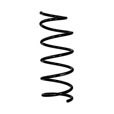 ARC SPIRAL EIBACH R10077 25