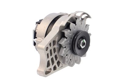 GENERATOR / ALTERNATOR REMANTE 011003000073R 49