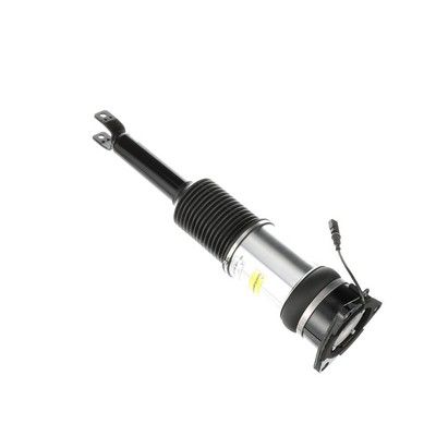 LUFTFEDERBEIN Arnott AS2966 55