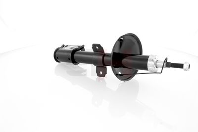 AMORTIZOR GH GH353997 25