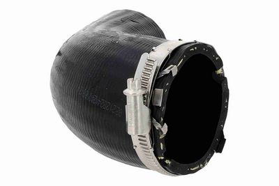 FURTUN EAR SUPRAALIMENTARE ACKOJA A520884 5