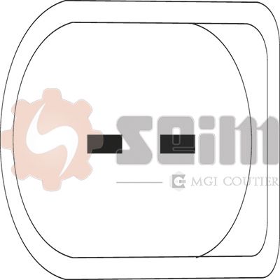 MECANISM ACTIONARE GEAM SEIM 990202