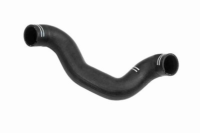 FURTUN EAR SUPRAALIMENTARE