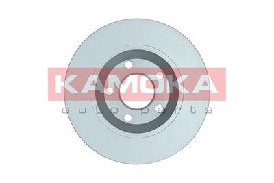 Brake Disc 1031518
