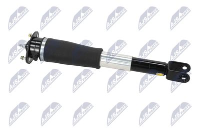 AMORTIZOR NTY ACH007 8