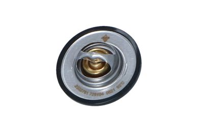 TERMOSTAT LICHID RACIRE NRF 725104 9