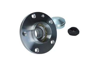 SET RULMENT ROATA KAMOKA 5500169 3