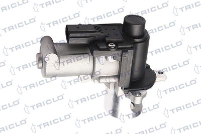 AGR-Клапан TRICLO 342611