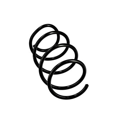 ARC SPIRAL EIBACH R10129 12