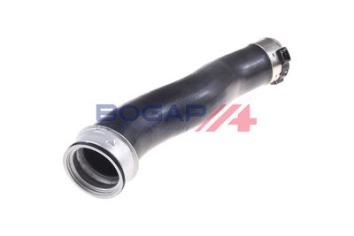 FURTUN EAR SUPRAALIMENTARE BOGAP B1711137 2