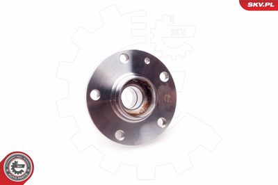 Wheel Bearing Kit 29SKV006