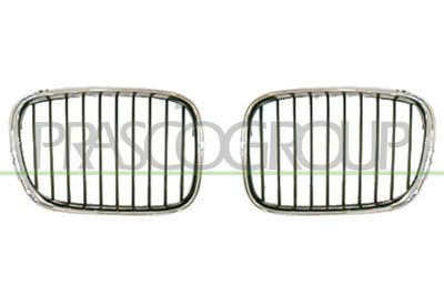 GRILA RADIATOR PRASCO BM0452013