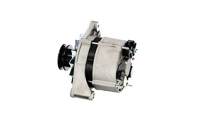 GENERATOR / ALTERNATOR REMANTE 011003000270R 15