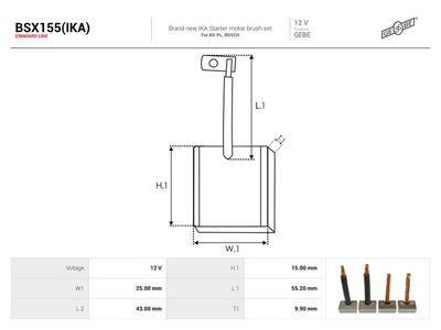 AS-PL - Uhlíkový zberač, štartér , BSX155(IKA)