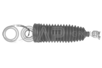 ANSAMBLU BURDUF DIRECTIE