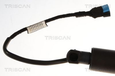 Pneumatická pružina, zavazadlový / nákladový prostor TRISCAN 8710 11377