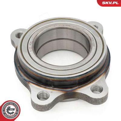 Set rulment roata ESEN SKV 29SKV698