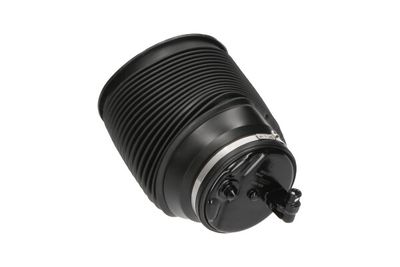 ARC PNEUMATIC DIRECTIE Kavo Parts SAS10012 3