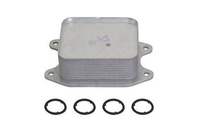 RADIATOR ULEI ULEI MOTOR