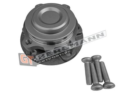GT-BERGMANN Automotive Rato guolio komplektas