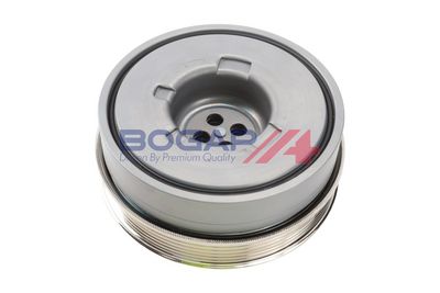 FULIE CUREA ARBORE COTIT BOGAP B1213145 2