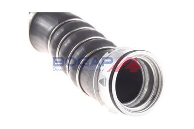 FURTUN EAR SUPRAALIMENTARE BOGAP B1711150 2