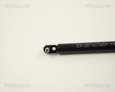 AMORTIZOR PORTBAGAJ TRISCAN 87102809 1